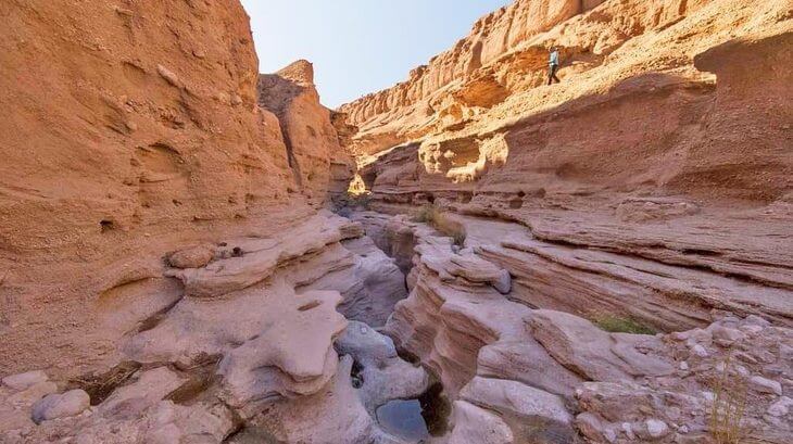 کال جنی طبس